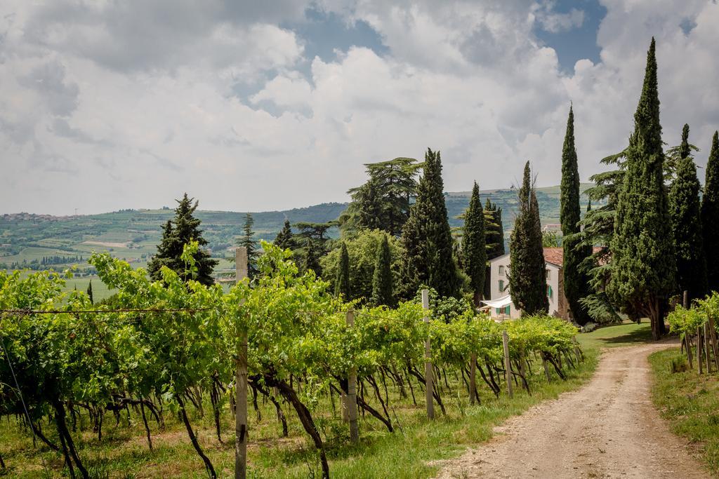 Mezzane di SottoMassimago Wine Relais别墅 外观 照片