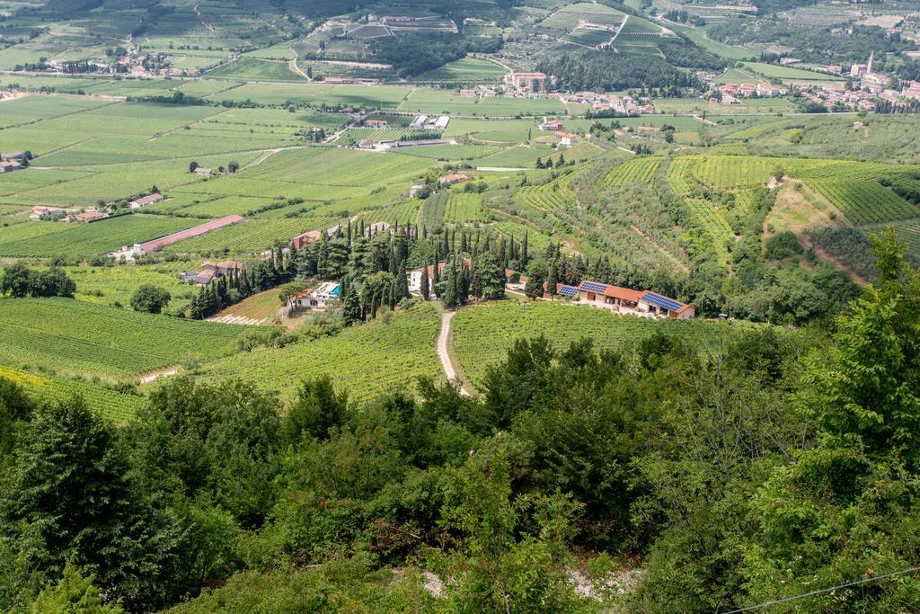 Mezzane di SottoMassimago Wine Relais别墅 外观 照片