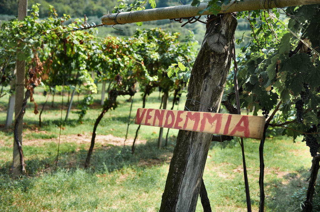 Mezzane di SottoMassimago Wine Relais别墅 外观 照片